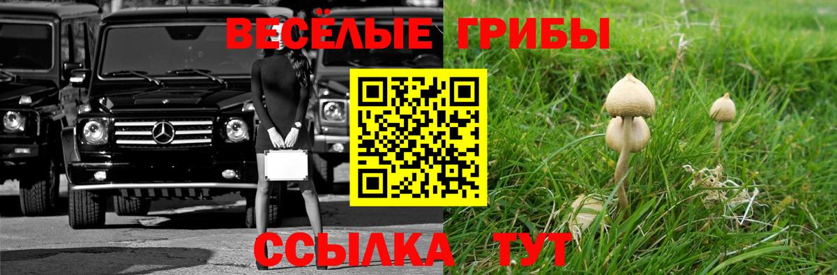 Галлюциногенные грибы GOLDEN TEACHER Старая Купавна